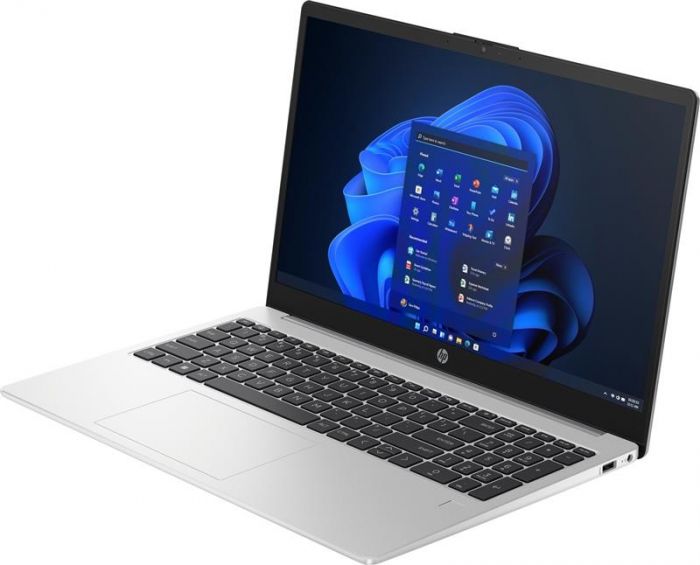 Ноутбук HP 250 G10 (8D4M8ES) Silver