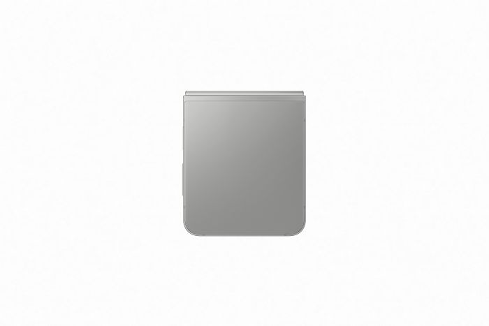 Смартфон Samsung Galaxy Flip6 SM-F741 256GB Silver Shadow (SM-F741BZSGSEK)