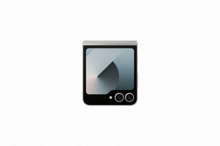 Смартфон Samsung Galaxy Flip6 SM-F741 256GB Silver Shadow (SM-F741BZSGSEK)