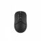 Миша бездротова A4Tech FB12 Black USB