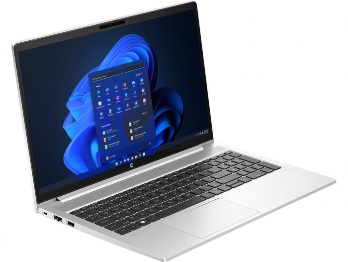 Ноутбук HP ProBook 455 G10 (719F9AV_V4) Silver