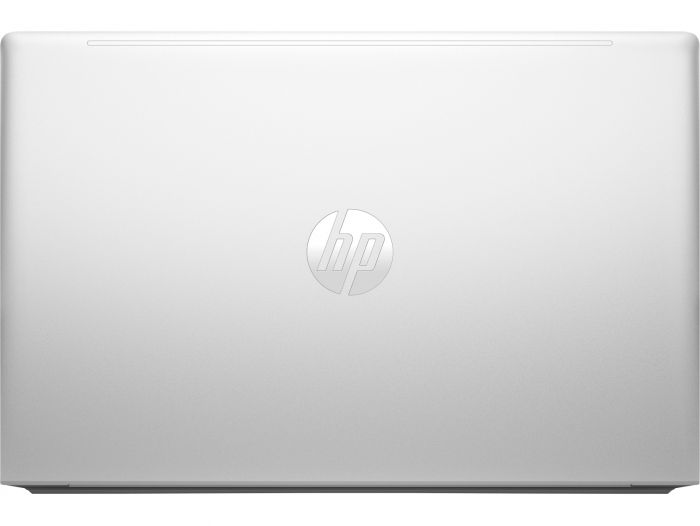 Ноутбук HP ProBook 455 G10 (719F6AV_V1) Silver