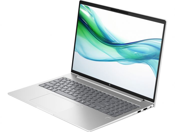 Ноутбук HP ProBook 460 G11 (8Z675AV_V4) Silver