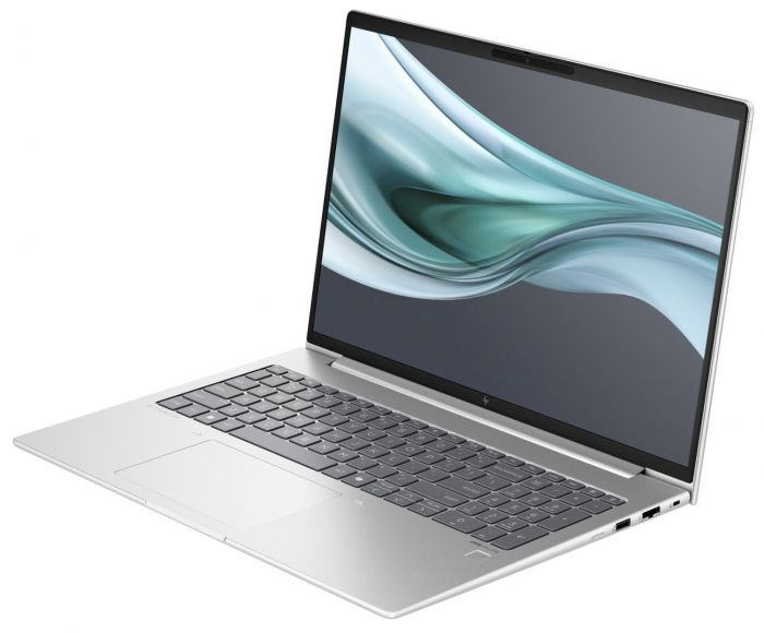 Ноутбук HP EliteBook 665 G11 (8Z715AV_V1) Silver