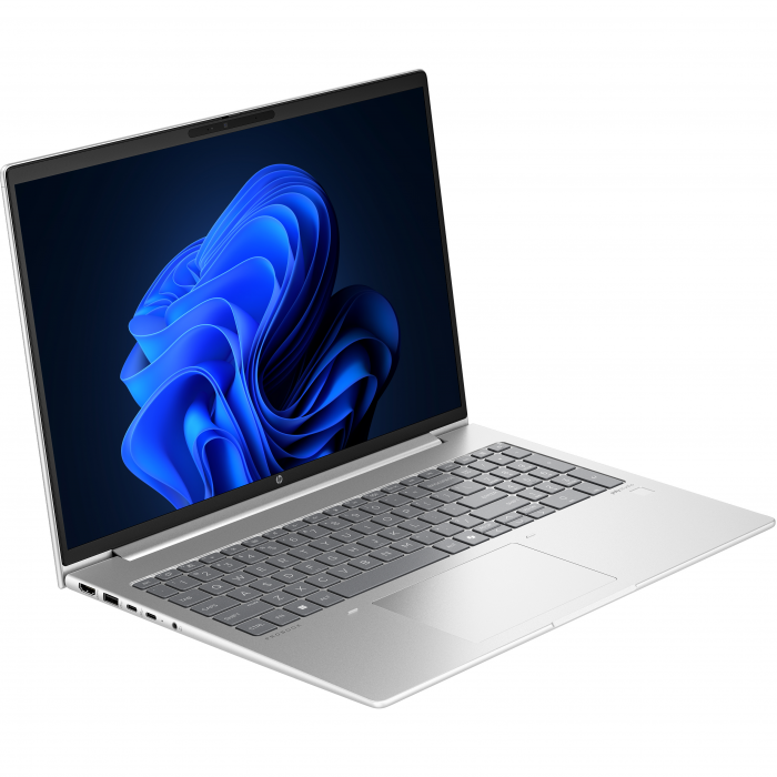 Ноутбук HP ProBook 465 G11 (901H4AV_V2) Silver