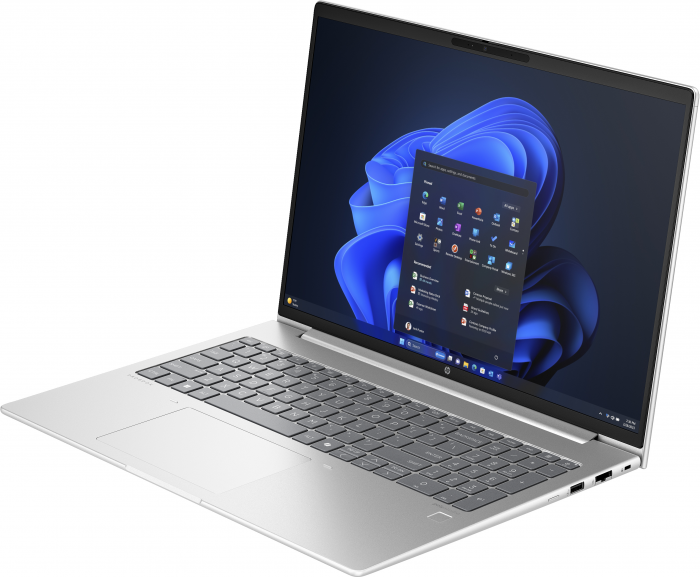 Ноутбук HP ProBook 465 G11 (901H4AV_V1) Silver