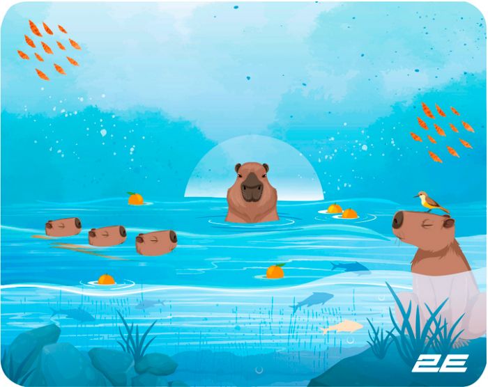 Ігрова поверхня 2E Capybarra S Blue (2E-PAD-S-CAPY-BLUE)