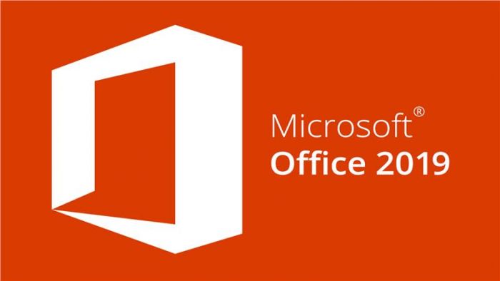 Програмне забезпечення MS Office 2019 Home and Business Ukrainian Medialess (T5D-03369)