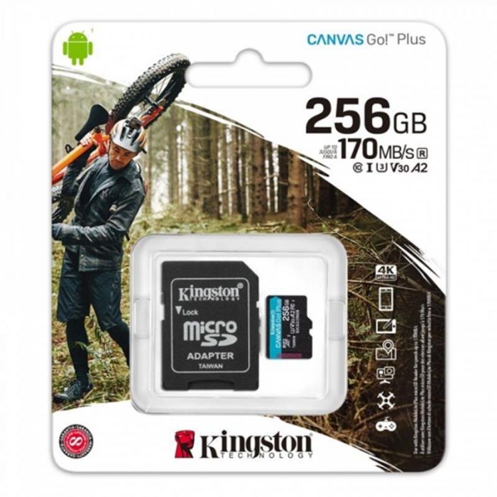 Карта пам`яти MicroSDXC 256GB UHS-I/U3 Class 10 Kingston Canvas Go! Plus R170/W90MB/s + SD-адаптер (SDCG3/256GB)