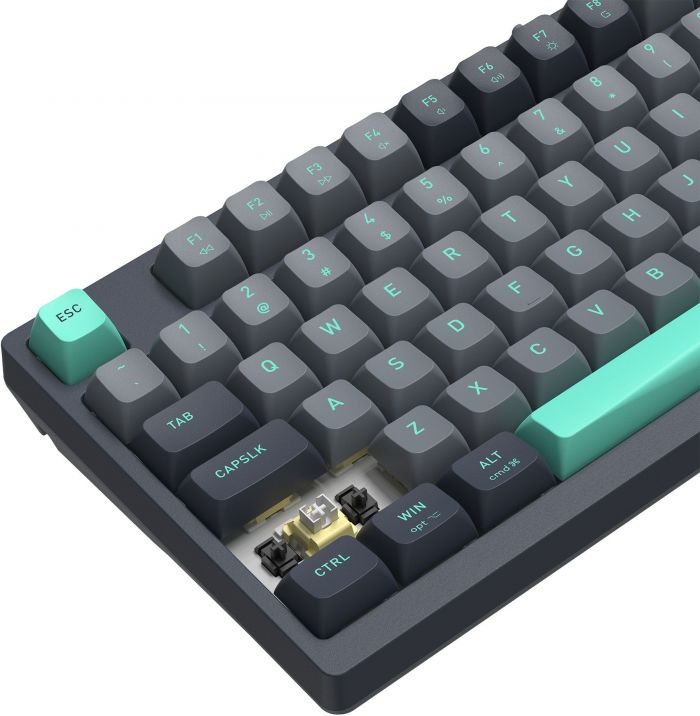 Клавіатура A4Tech Fstyler FS300 Panda Rock Climbing